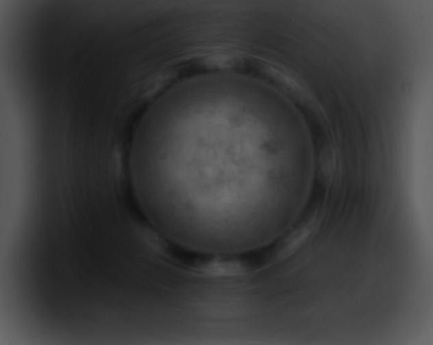 X0000100420270200806061409