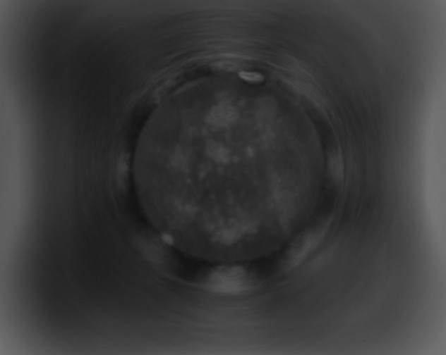 X0000100420271200806061409