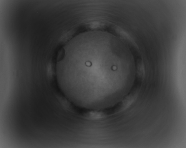 X0000100420272200806061409
