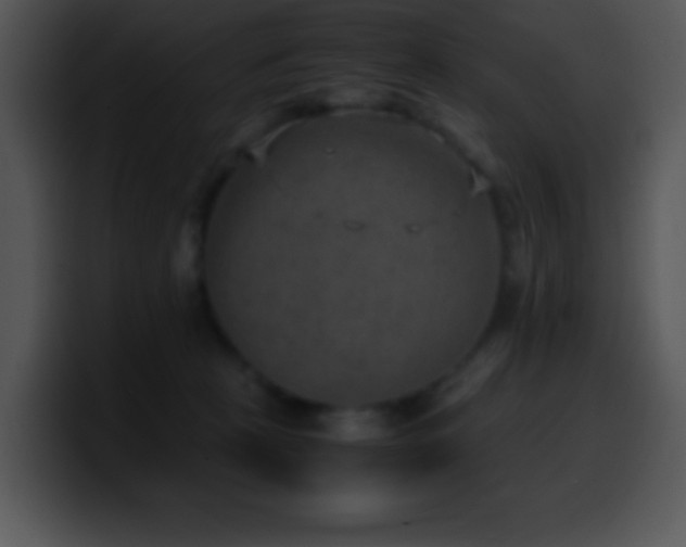 X0000100420273200806061409