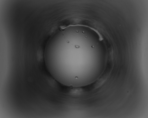 X0000100420274200806061409
