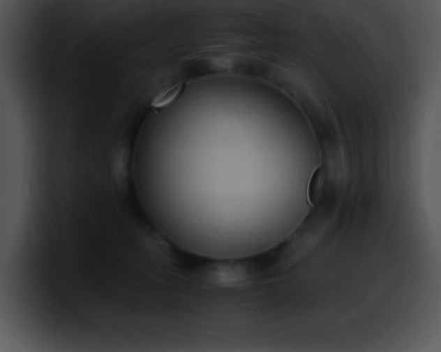 X0000100420275200806061409
