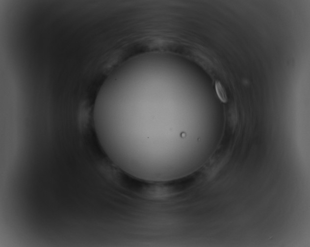 X0000100420276200806061409