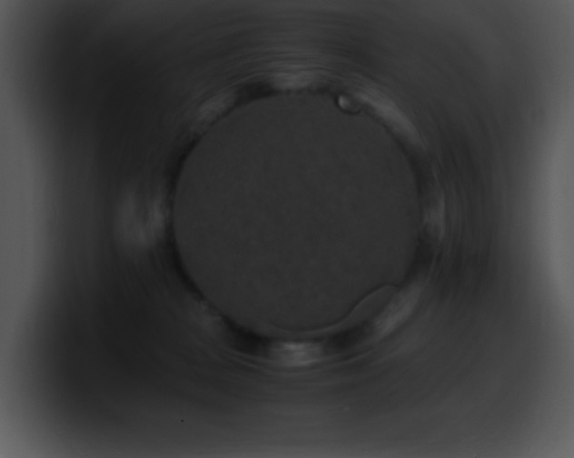 X0000100420277200806061409