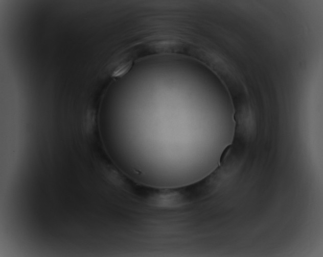 X0000100420278200806061409