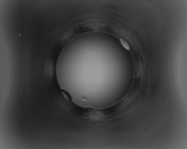 X0000100420279200806061409