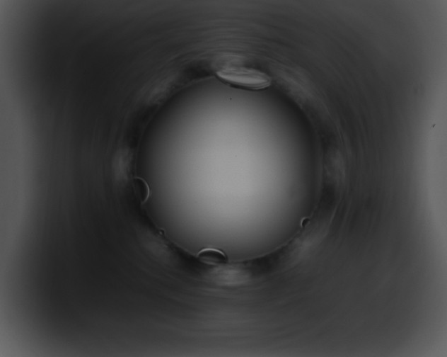 X0000100420280200806061409