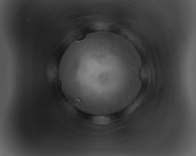 X0000100420281200806061409