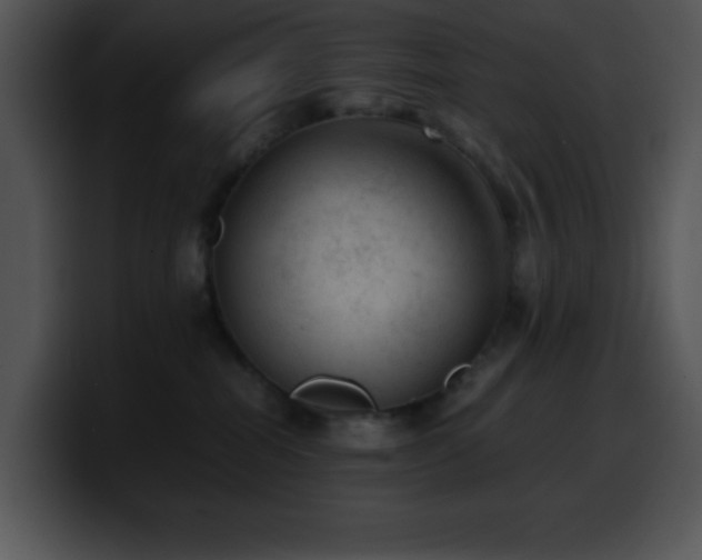 X0000100420282200806061409