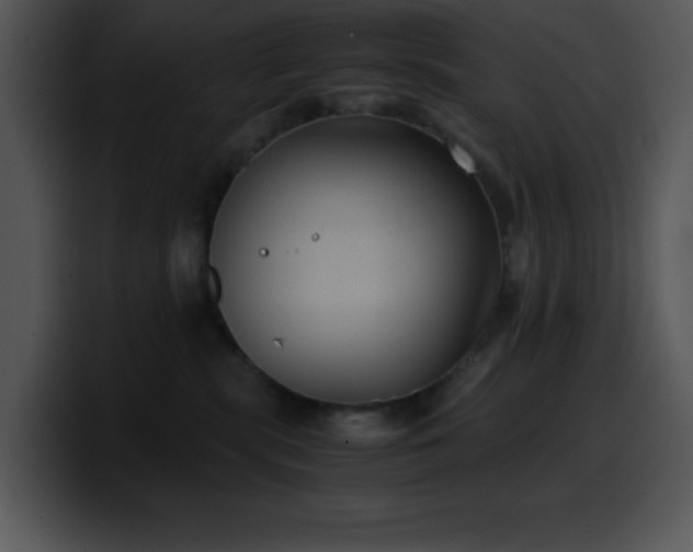 X0000100420283200806061409