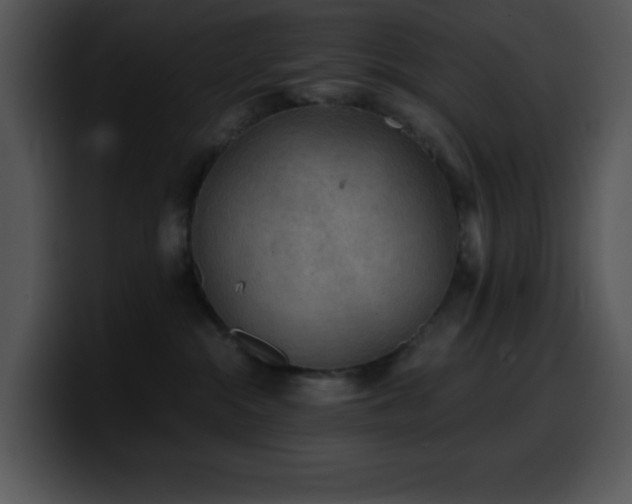 X0000100420284200806061409