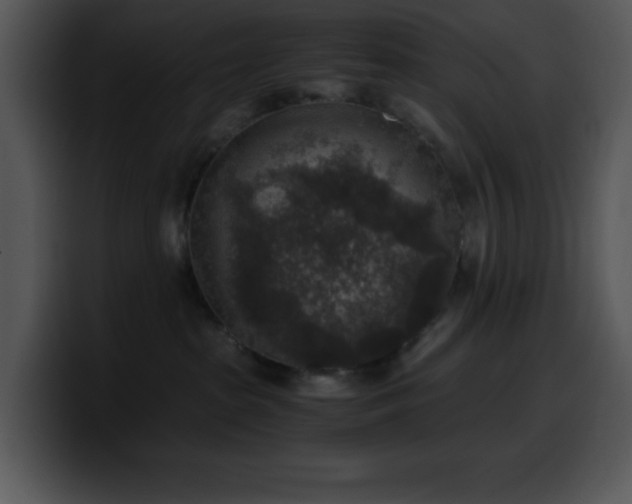 X0000100420285200806061409