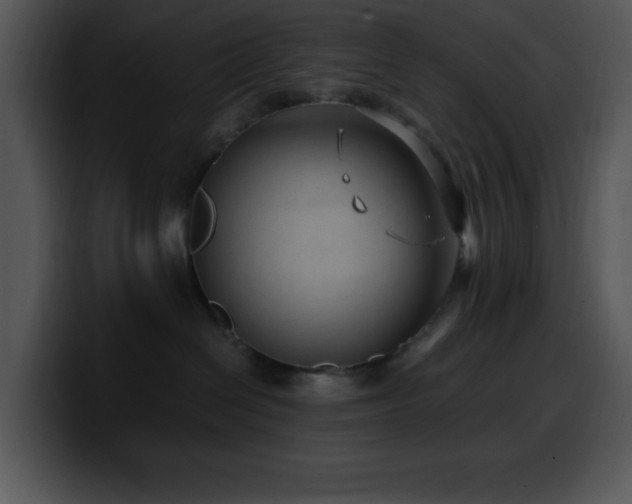 X0000100420286200806061410