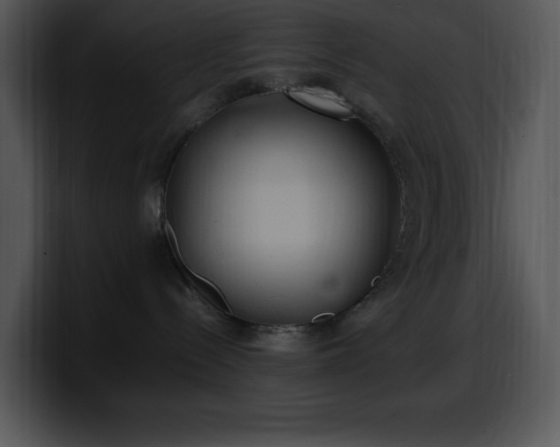 X0000100420288200806061410