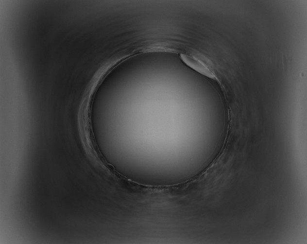 X0000100420289200806061409