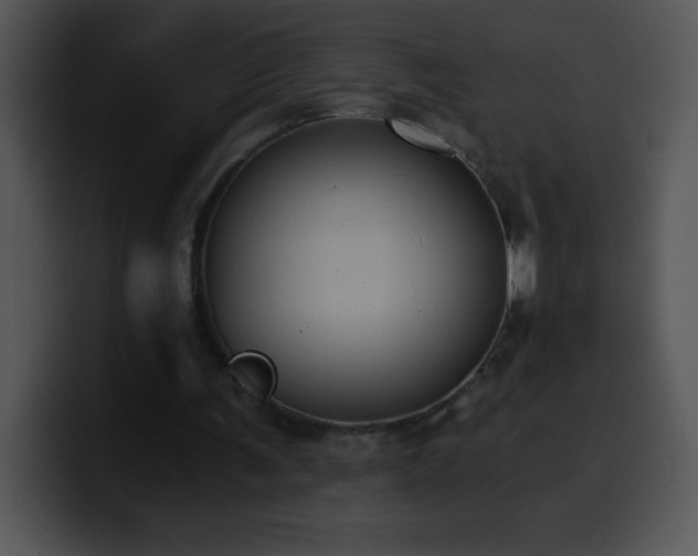 X0000100420291200806061409