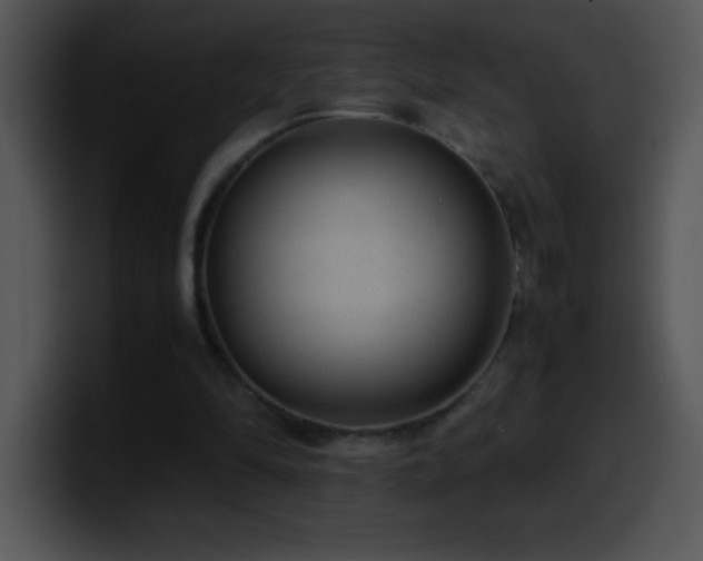 X0000100420294200806061409