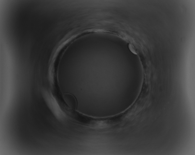 X0000100420295200806061409
