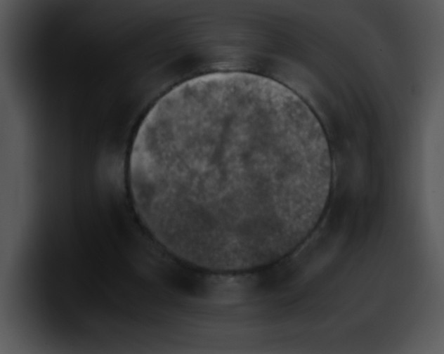 X0000100420297200806061409