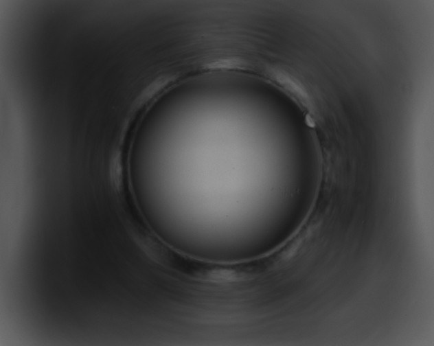 X0000100420298200806061409