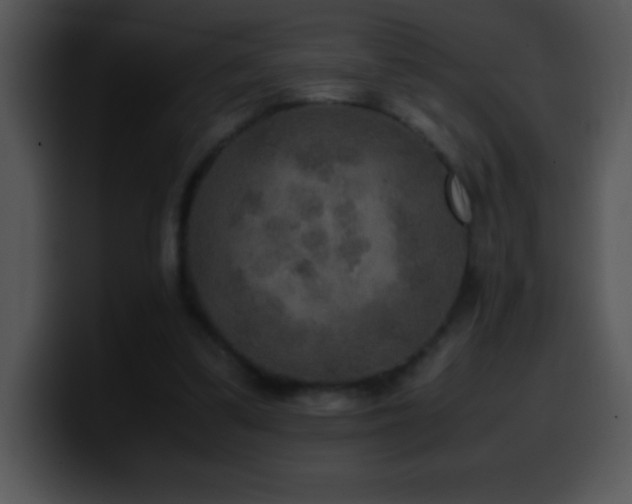 X0000100420299200806061409