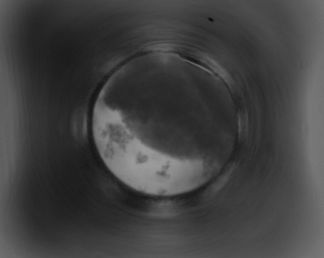 X0000100420301200806061409