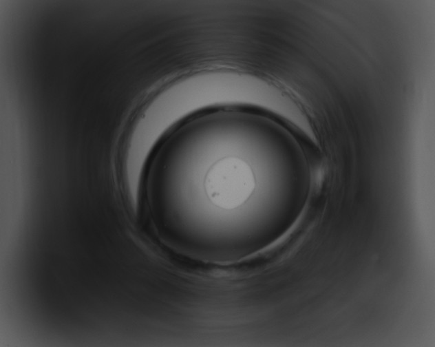 X0000100420302200806061409