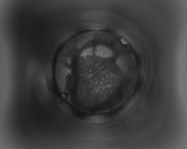 X0000100420303200806061409