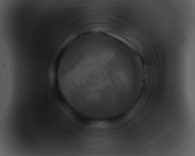 X0000100420304200806061409