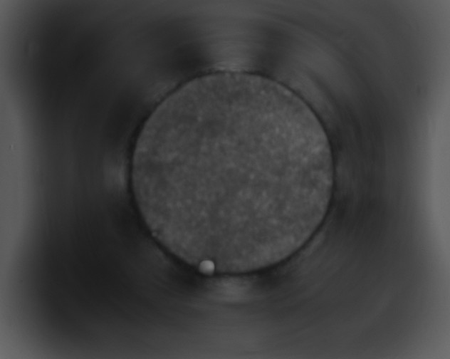 X0000100420305200806061409