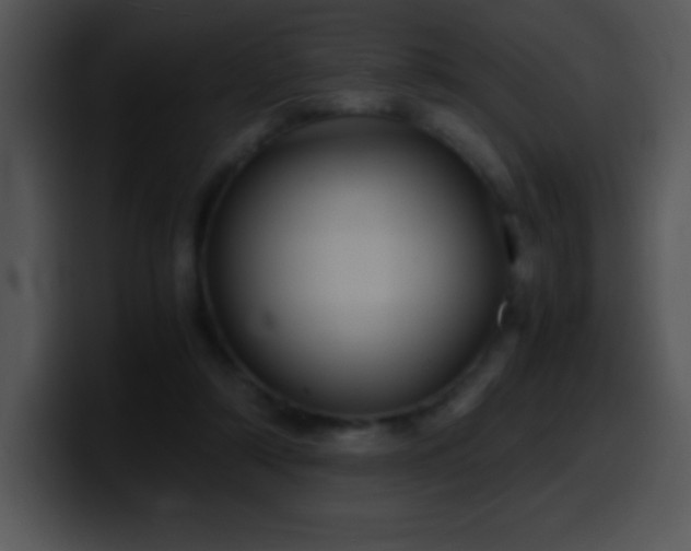 X0000100420306200806061409