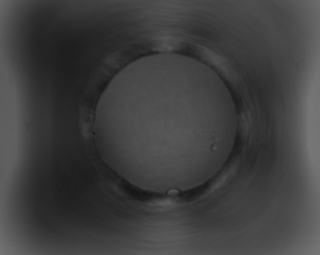 X0000100420307200806061409