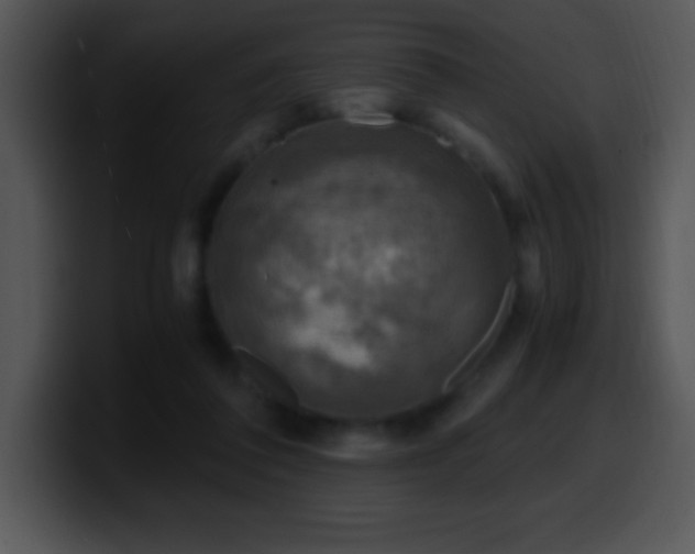 X0000100420308200806061409