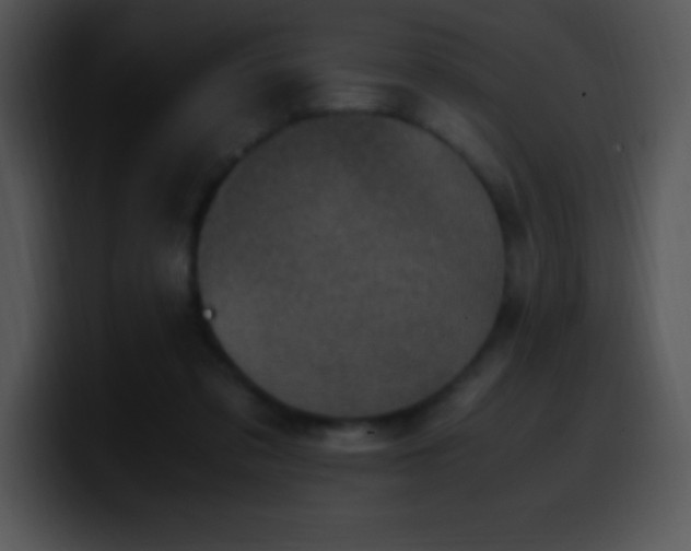 X0000100420309200806061409