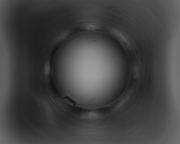 X0000100420310200806061409