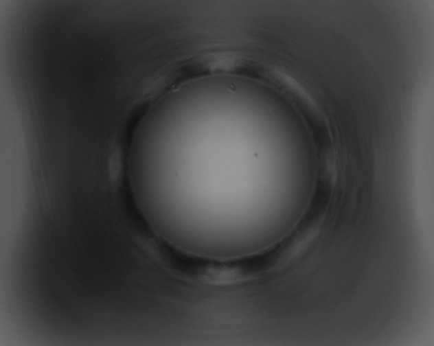 X0000100420311200806061409