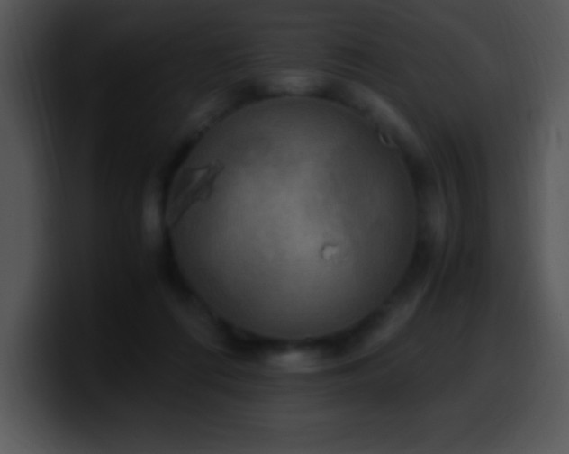 X0000100420312200806061409