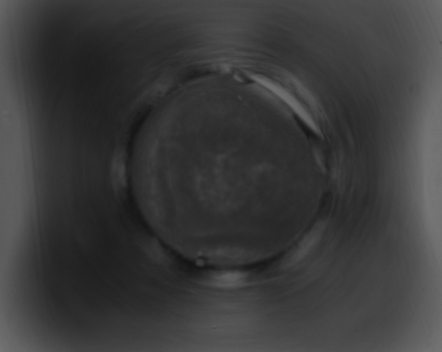 X0000100420313200806061409