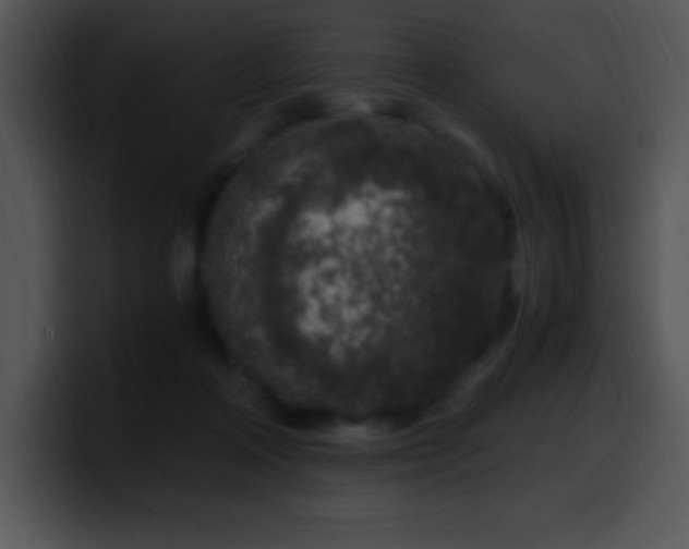 X0000100420314200806061409