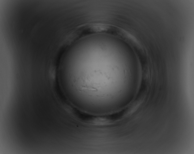 X0000100420315200806061409