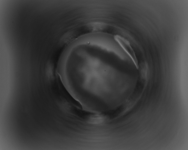 X0000100420316200806061409