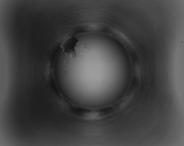 X0000100420318200806061409