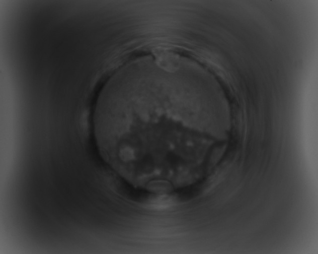 X0000100420319200806061408