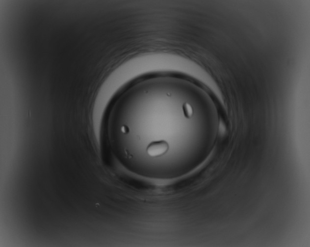X0000100420320200806061408