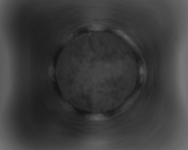 X0000100420322200806061408