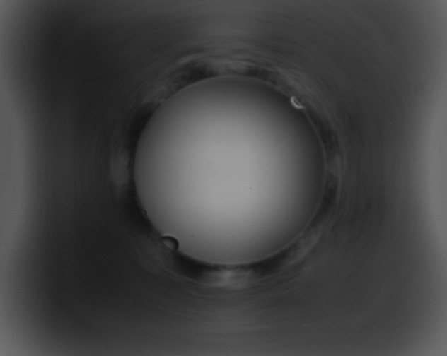 X0000100420323200806061408