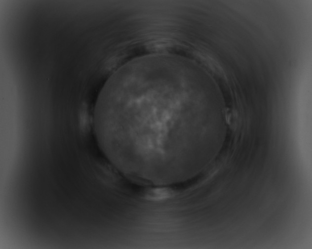 X0000100420324200806061408