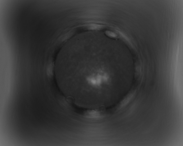 X0000100420325200806061408