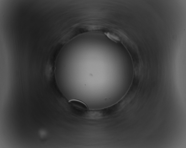 X0000100420327200806061408