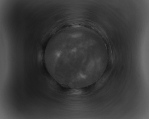 X0000100420328200806061408